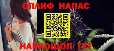 сатива Краснознаменск